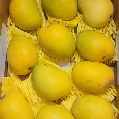 Fresh Mango